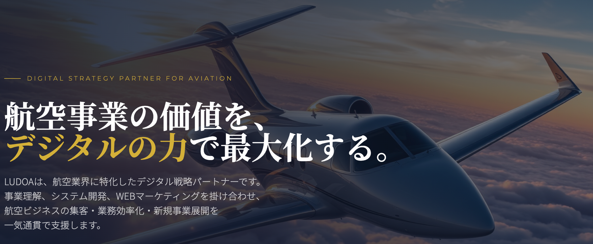 航空業界特化型